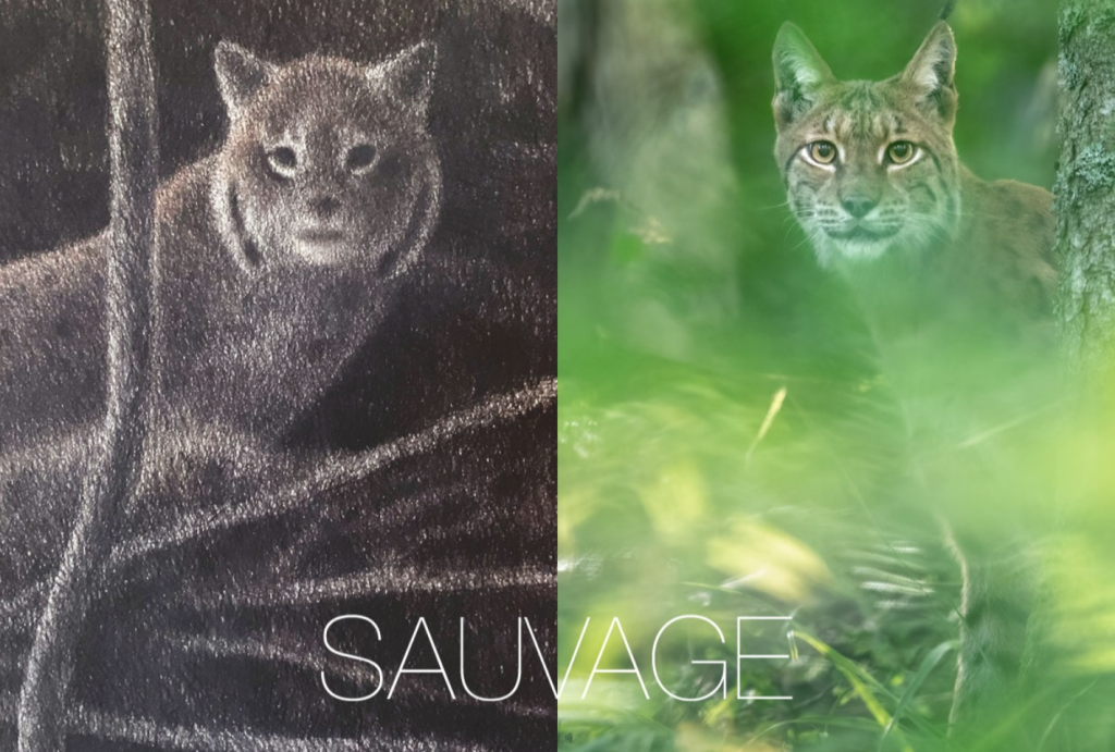 SAUVAGE