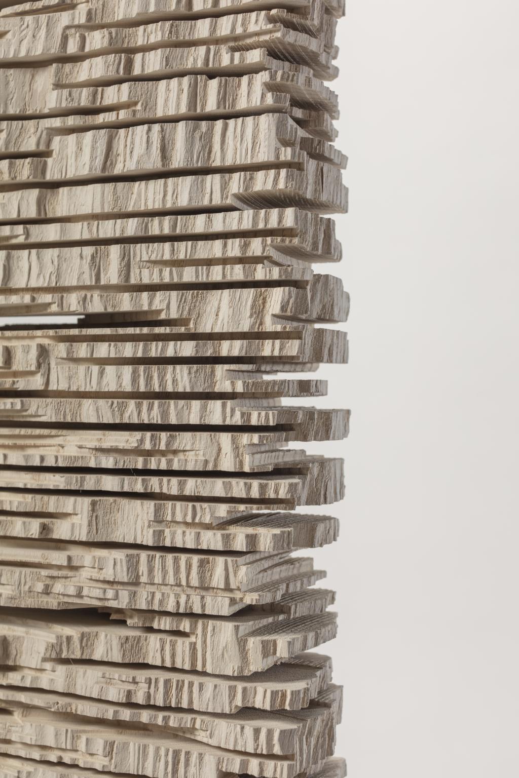 La Mémoire du bois. Le Musée a 30 ans