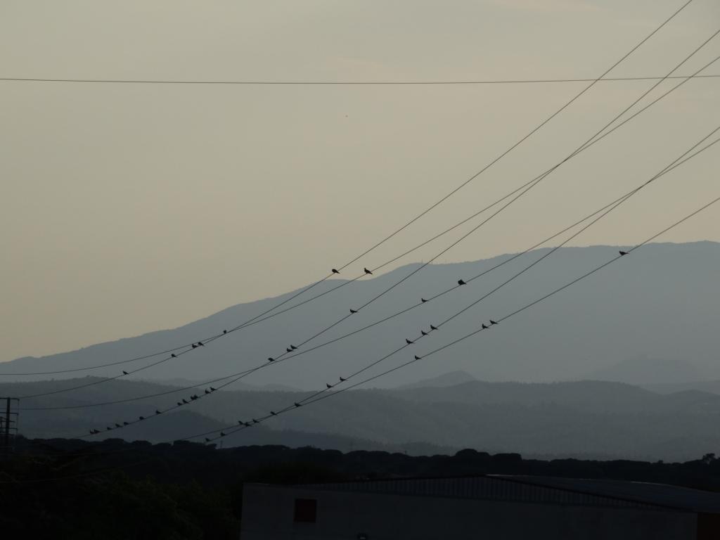 Festival Altitudes | Part-Dieu | Les Hauts-Parleurs | Conversation