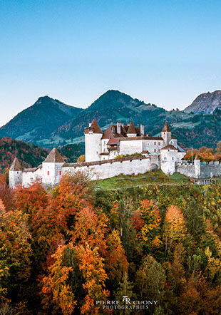 Journée des Châteaux suisses | Design market