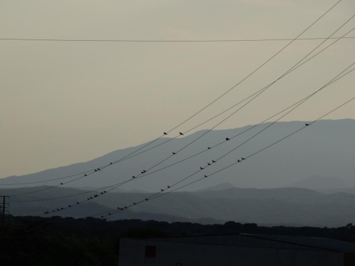 Festival Altitudes | Part-Dieu | Les Hauts-Parleurs | Conversation