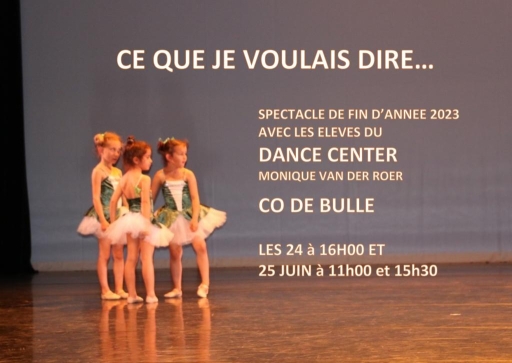 Ce que je voulais dire...