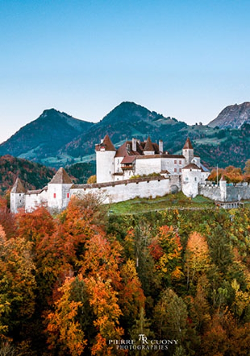 Journée des Châteaux suisses | Design market