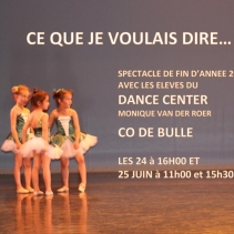 Ce que je voulais dire...