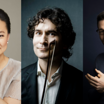MIDORI - LEDERLIN - BISS