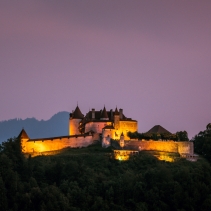 Nuit des Musées | À vos jumelles au Château de Gruyères