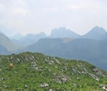 "Les Morteys, joyau de la Gruyère