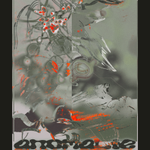 "anomalie" w/ bin (CH) + art.ic b2b nidor (CH)