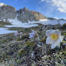Partez à la découverte des secrets bien gardés du Vanil Noir