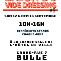 #8 SALON DU VIDE DRESSING