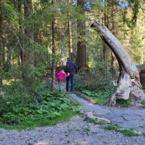 Rallye forestier à Bouleyres (Bulle)